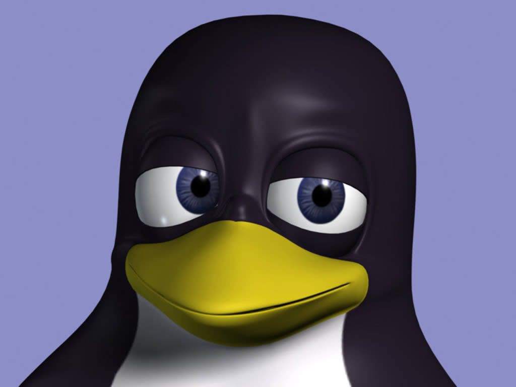 12_linux.jpg