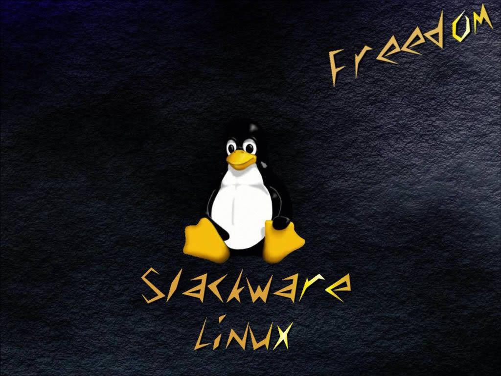 13_linux.jpg
