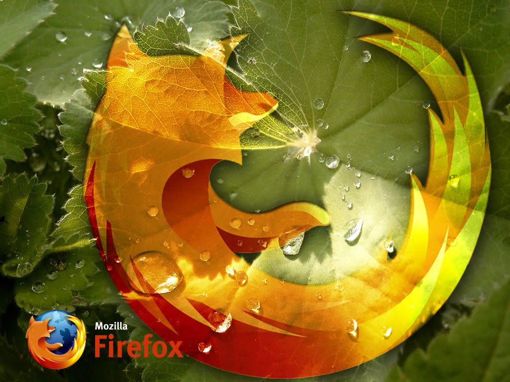 7_firefox.jpg