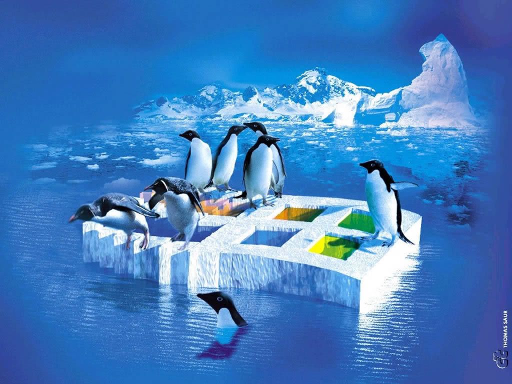 9_linux.jpg