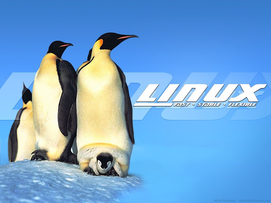Linux-frf_1024x768.jpg