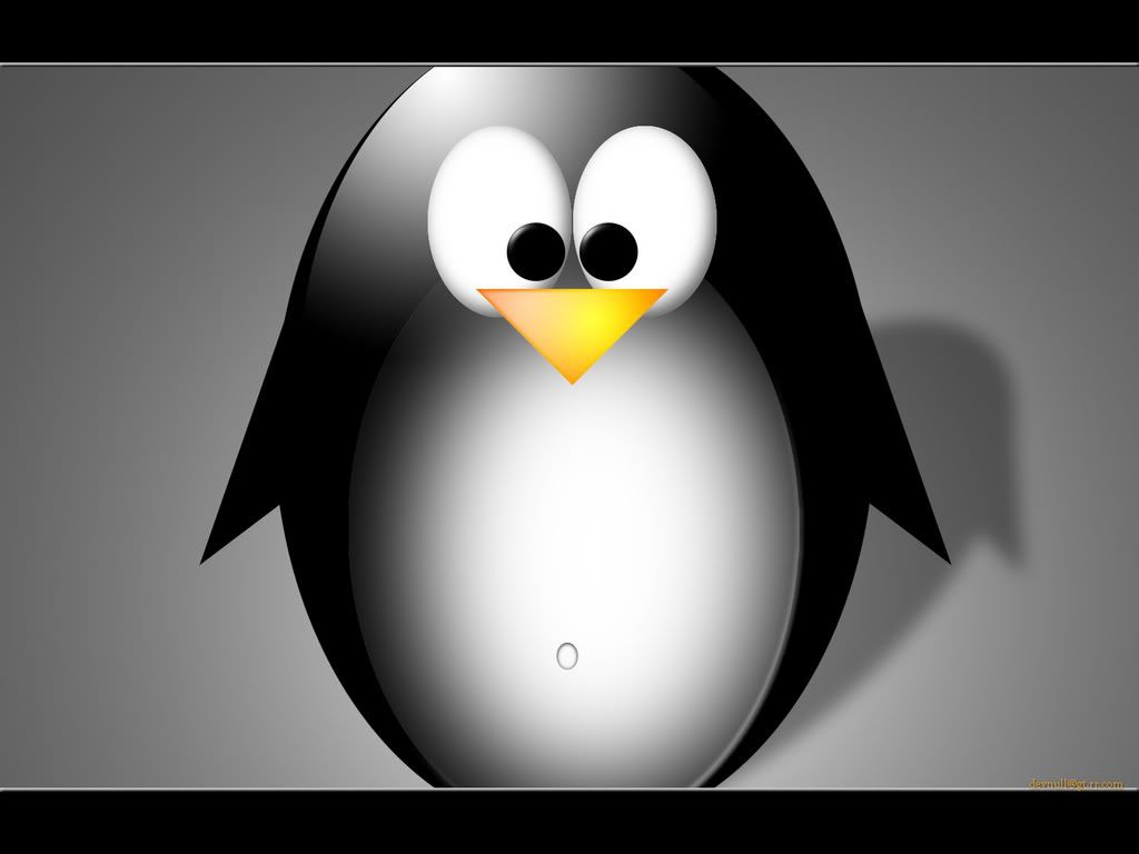 bigtux.jpg
