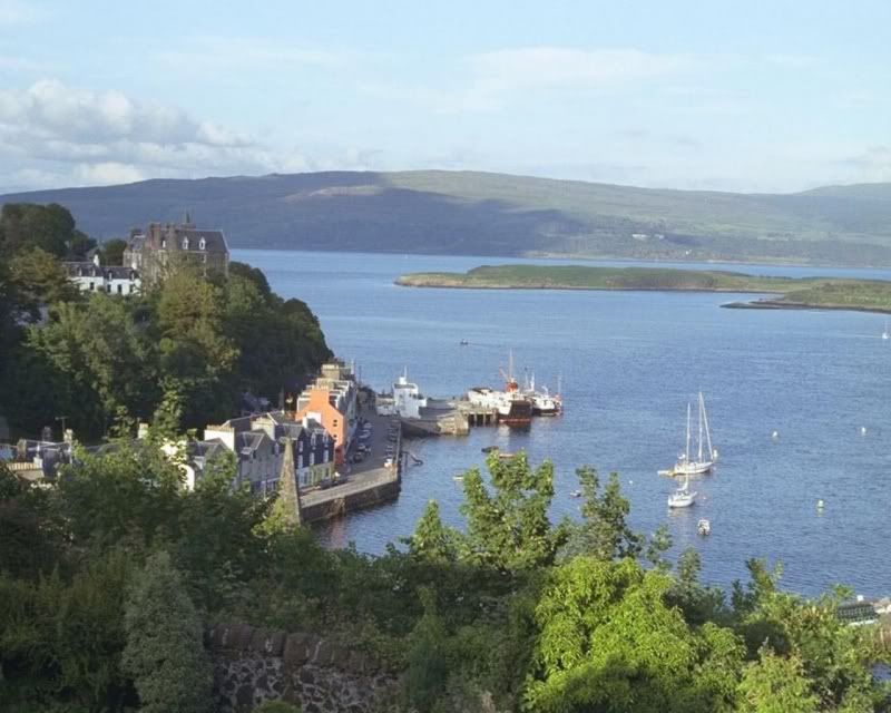 harbor.jpg