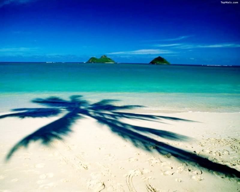 hawaii.jpg