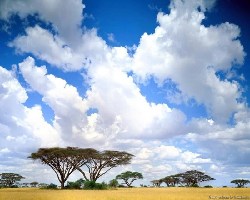 kenya.jpg
