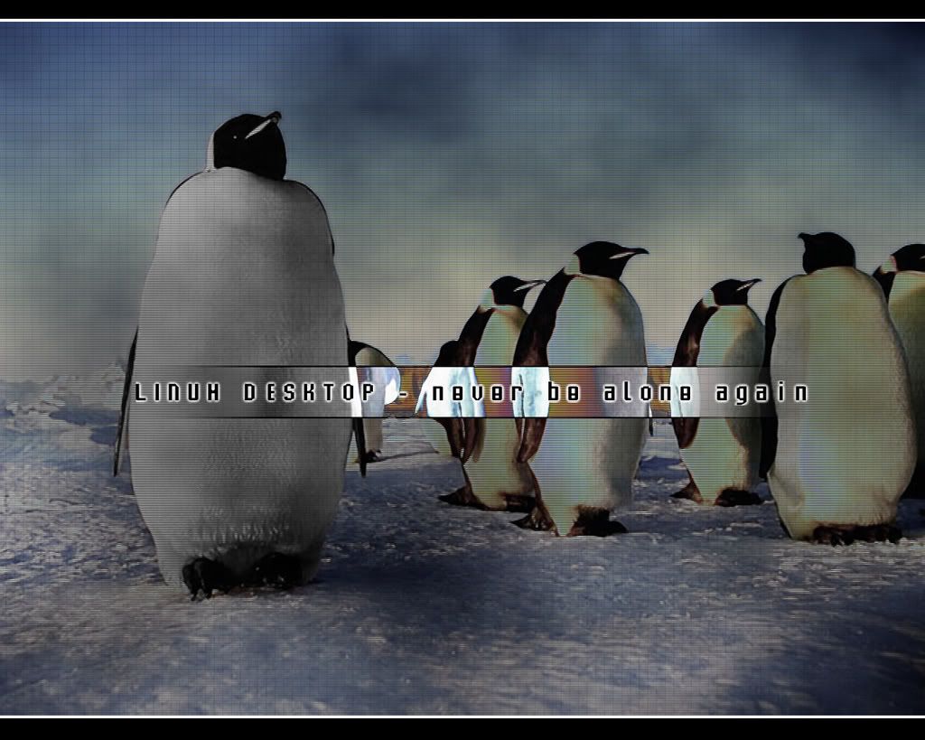 linux-NeverBeAlone_1280x1024.jpg