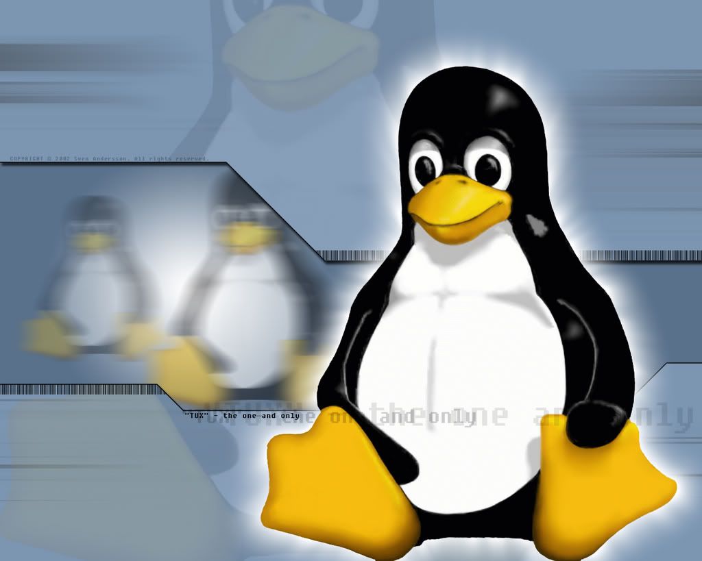 linux-TUXTheOneAndOnly.jpg
