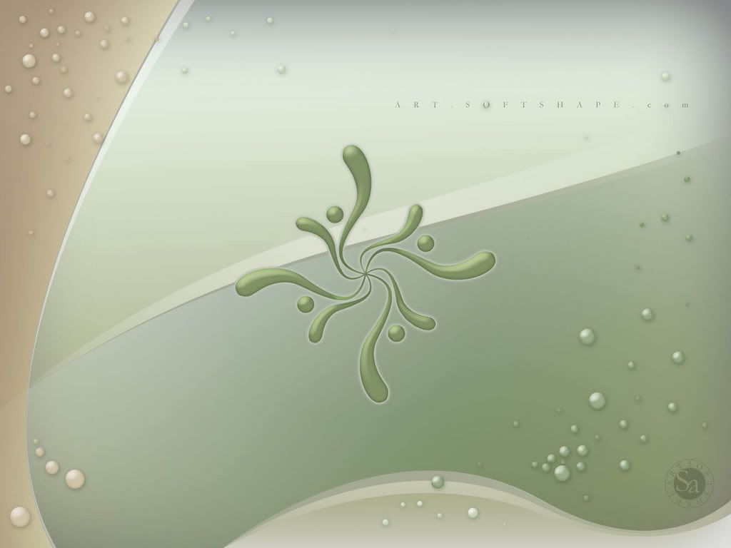 softshapeart_exp006a_1600x1200.jpg