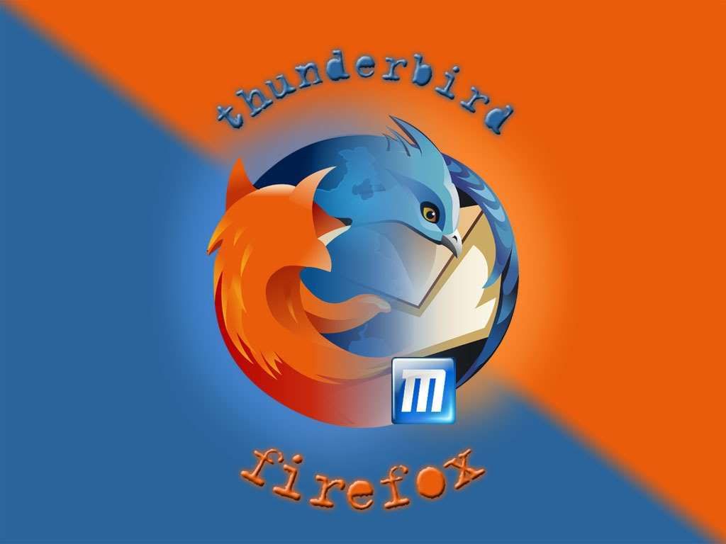 wall_ff_259.jpg