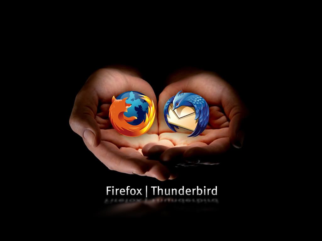 wall_ff_350.jpg