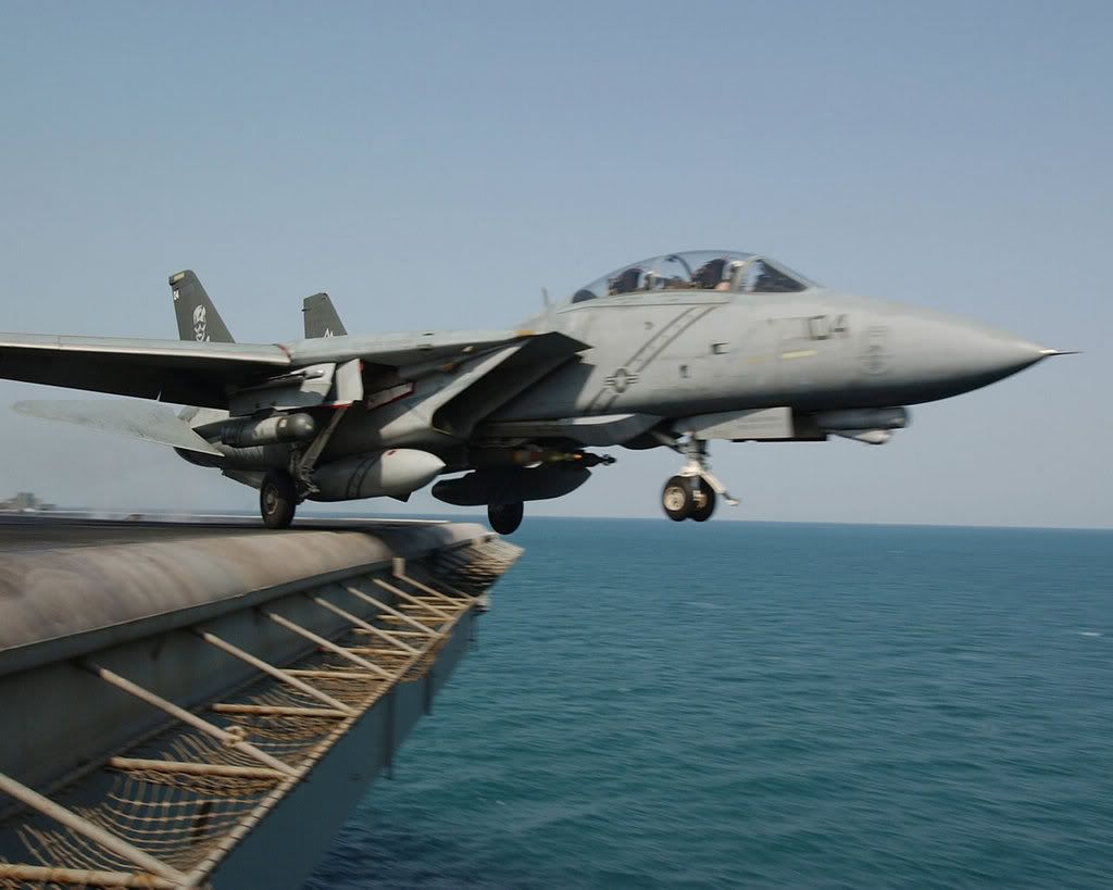 f_14_tomcat_1.jpg