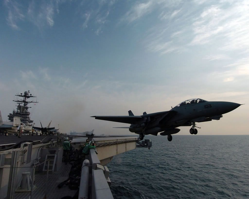 f_14_tomcat_2.jpg