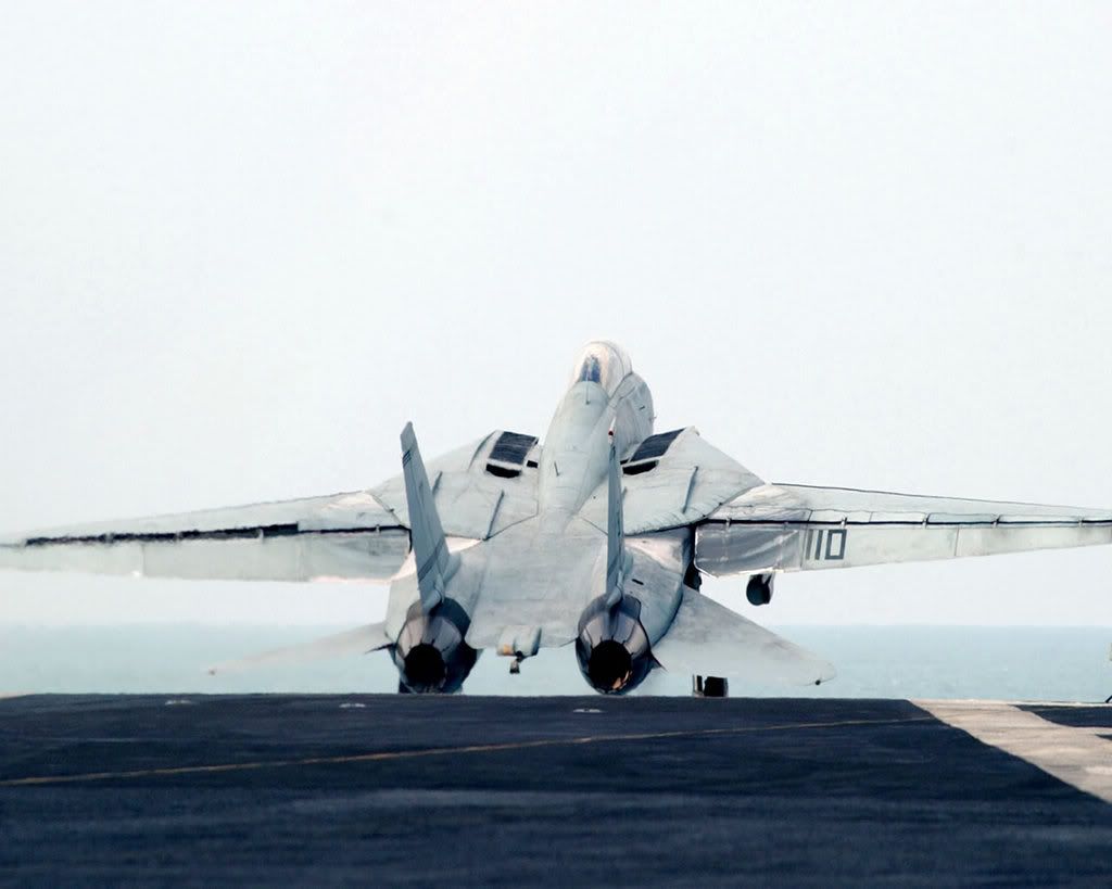 f_14_tomcat_3.jpg
