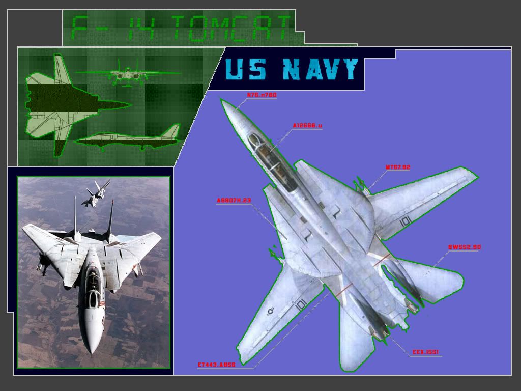 f_14_tomcat_4.jpg