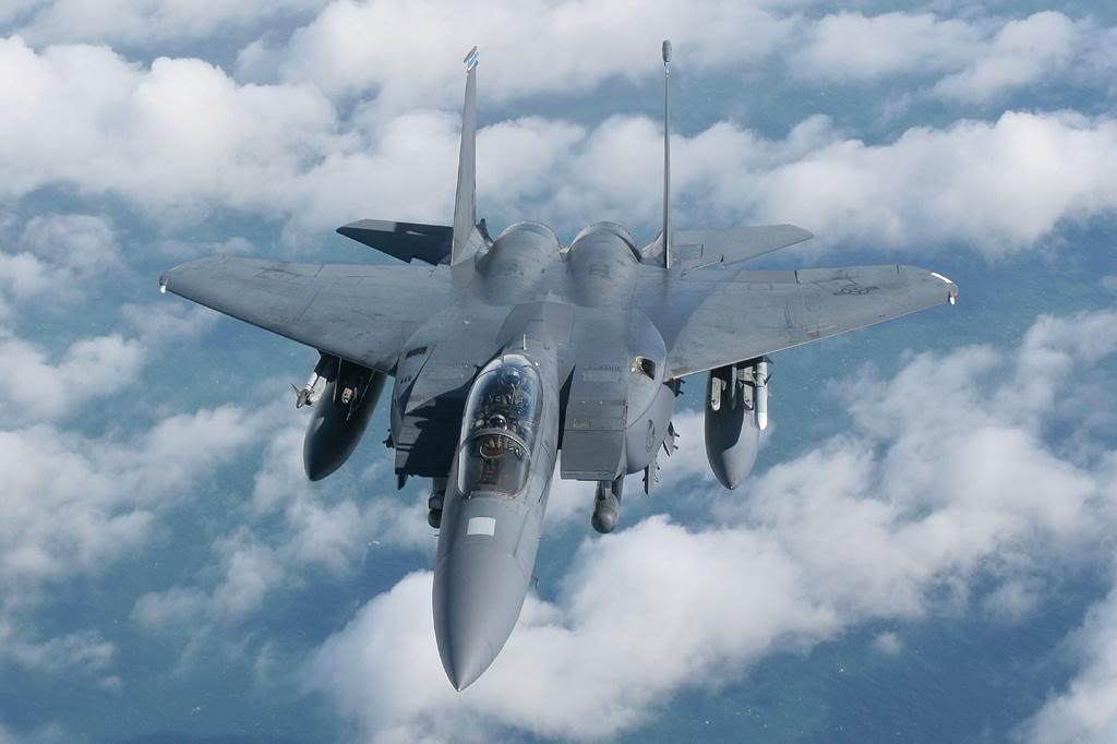 f_15_eagle_10.jpg