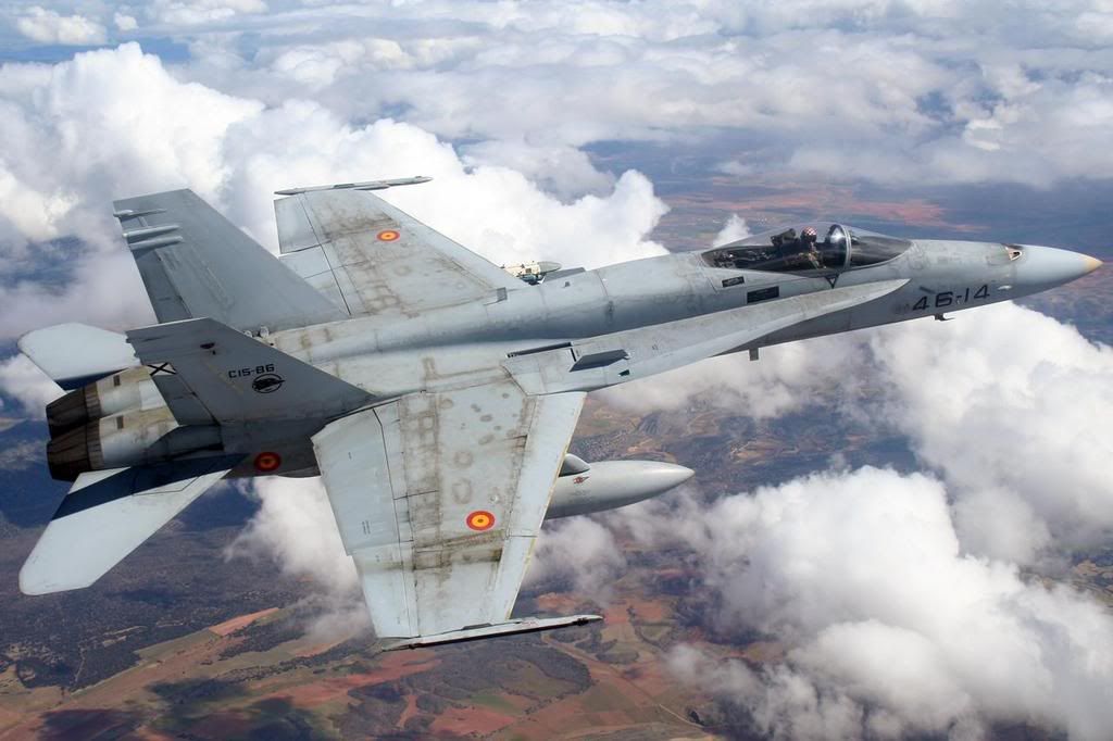 f_18_hornet_9.jpg