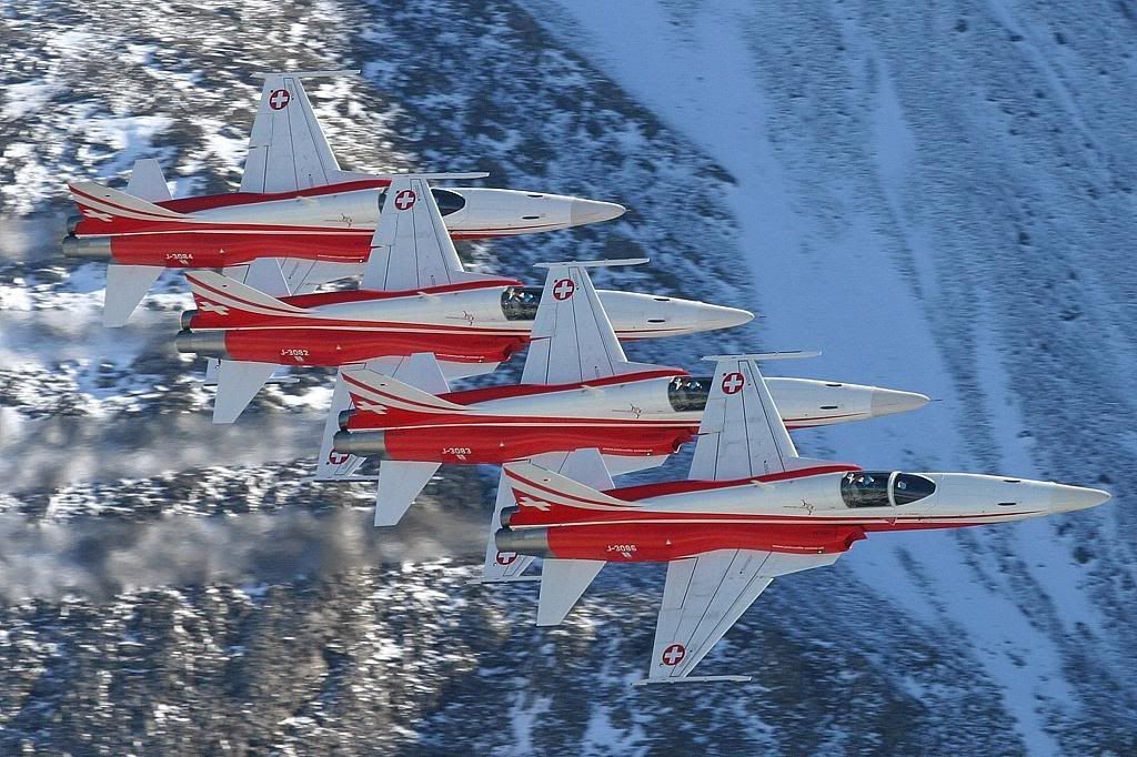 f_5_tiger_1.jpg