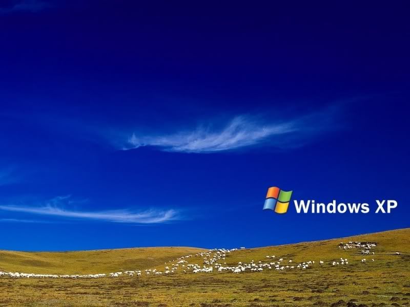 wallpapers_cool-1031cas.jpg