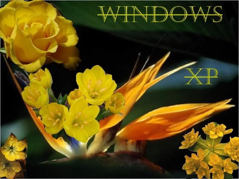 wallpapers_cool-1064mghmg.jpg