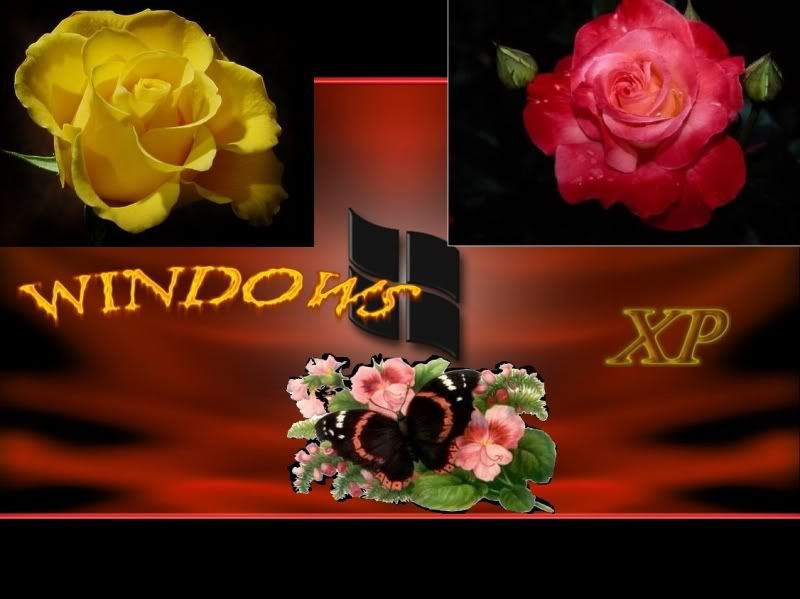 wallpapers_cool-1097csad.jpg