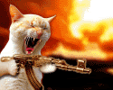 9.gif
