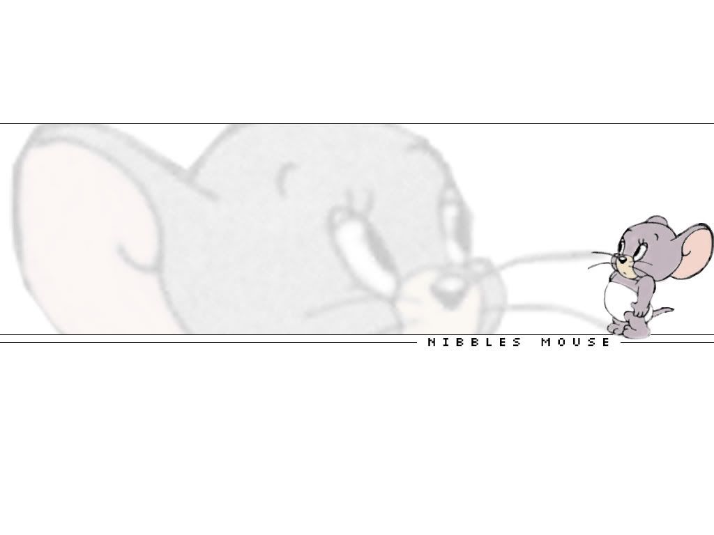 nibbles1024x768.jpg
