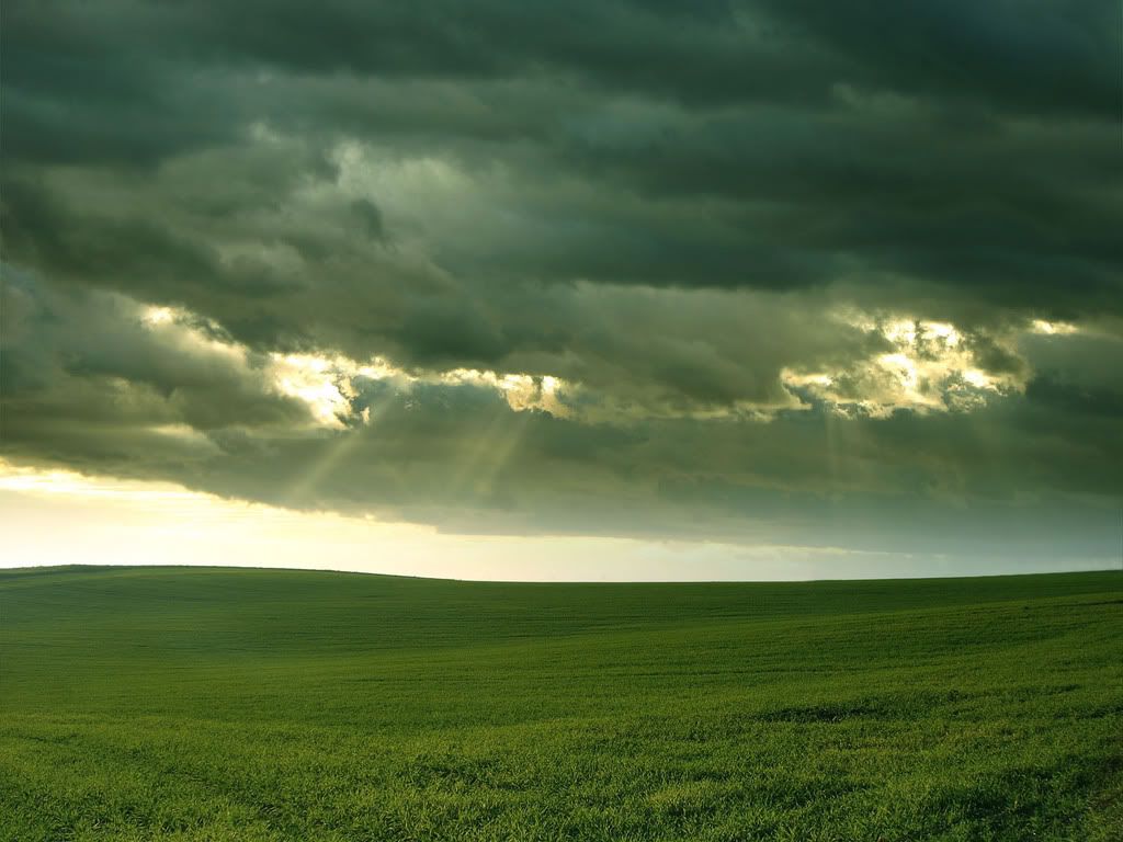 rainy_day_in_sunny_june_by_ssilence.jpg