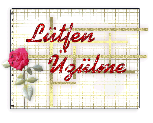 thumb_1131808284uzulme10pa.gif