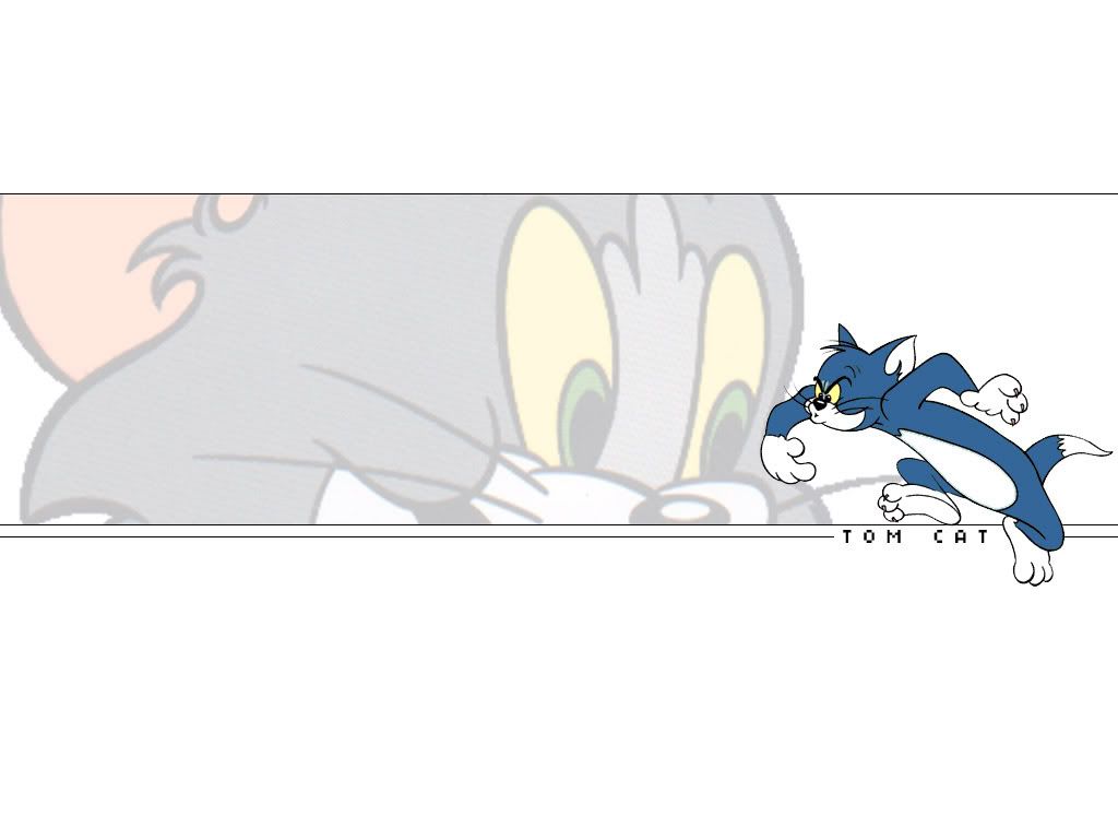 tom1024x768.jpg