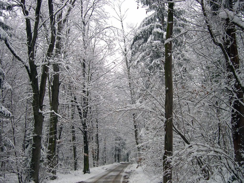 DSCN0006.jpg