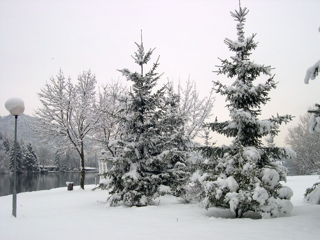 DSCN0012.jpg