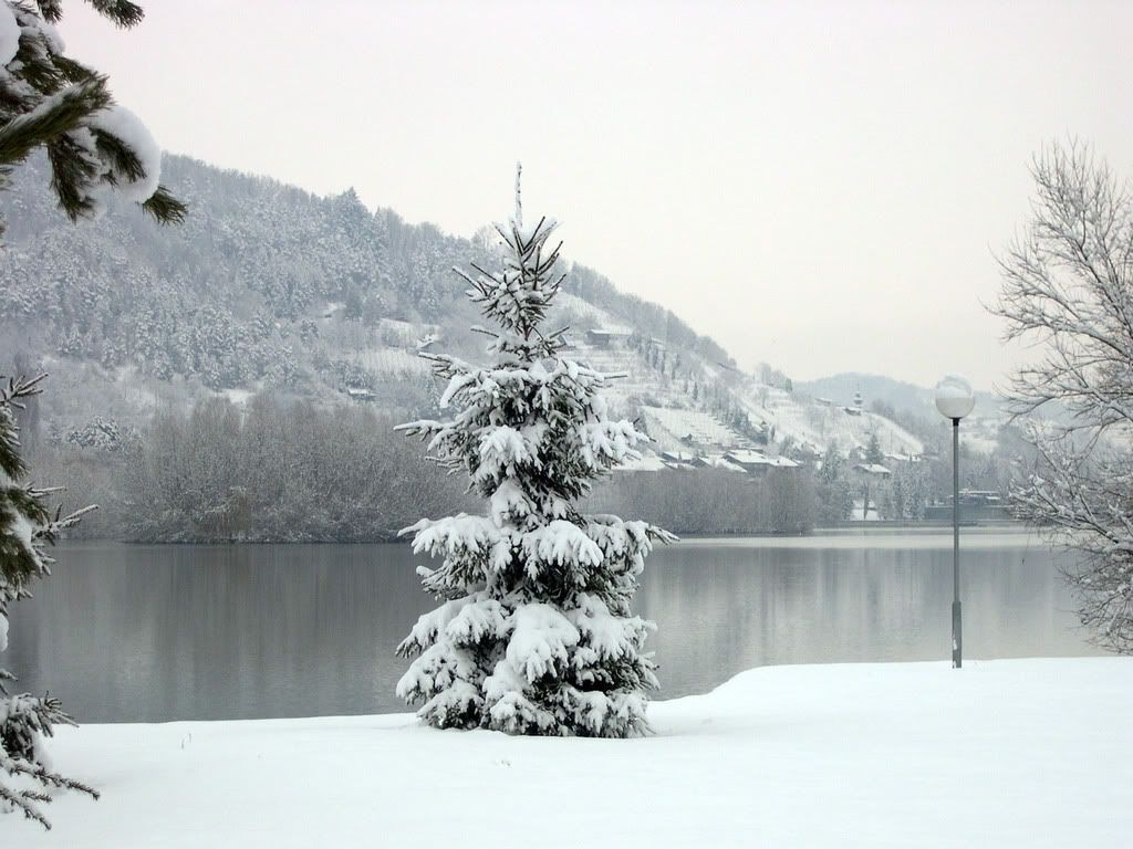 DSCN0015.jpg