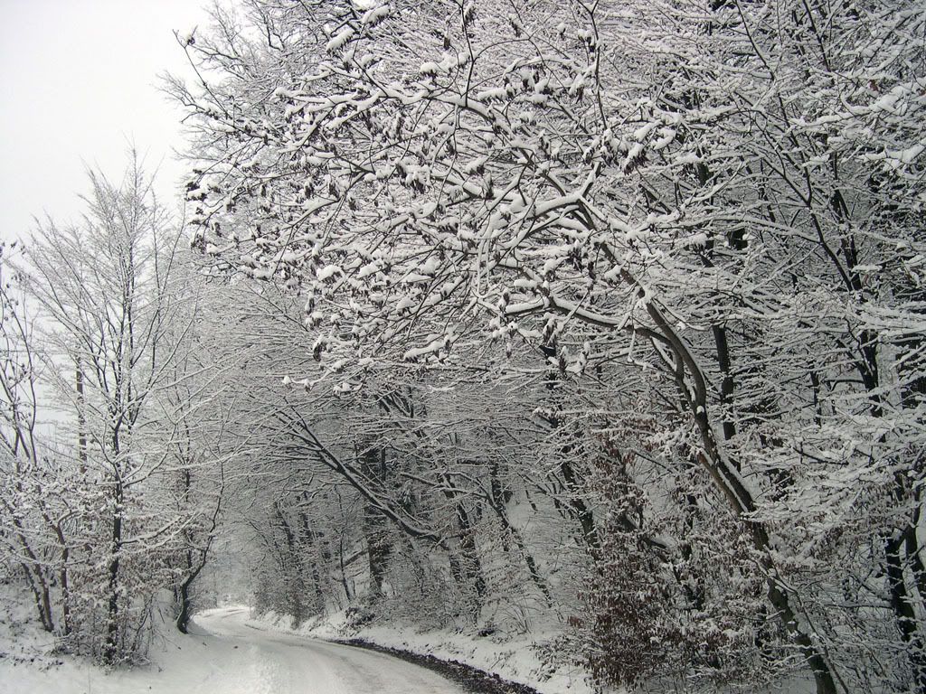 DSCN0018.jpg