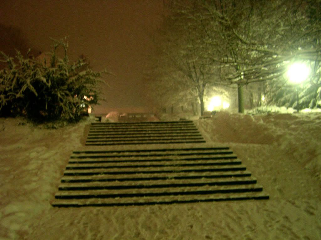 DSCN0029.jpg