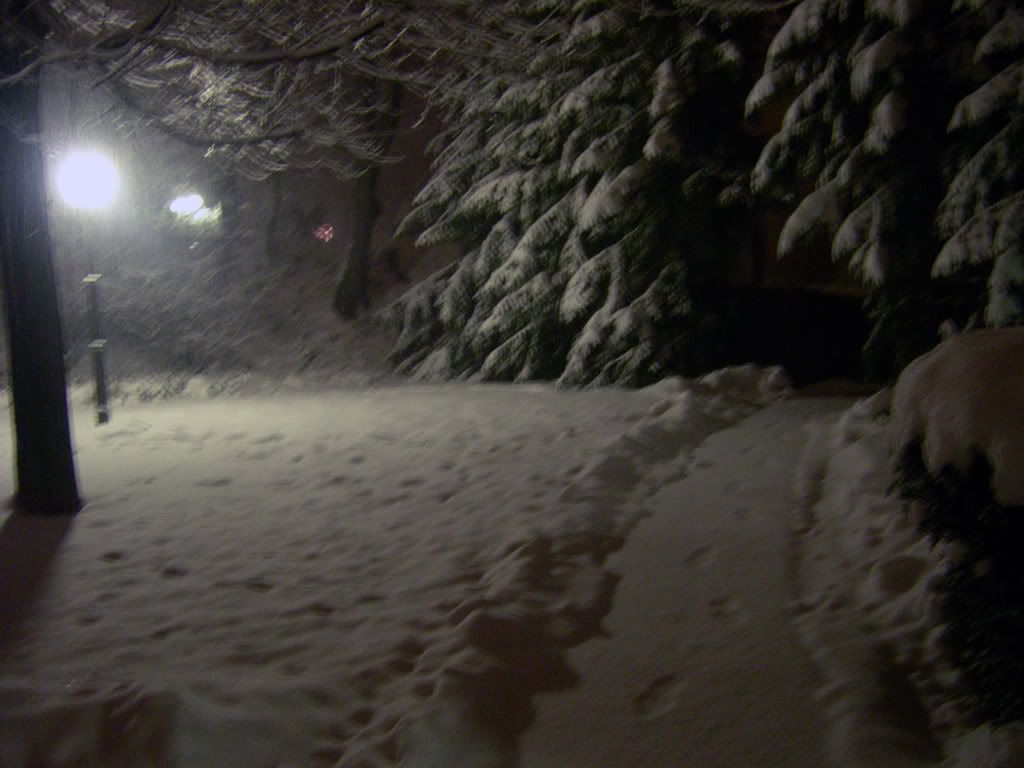 DSCN0030.jpg