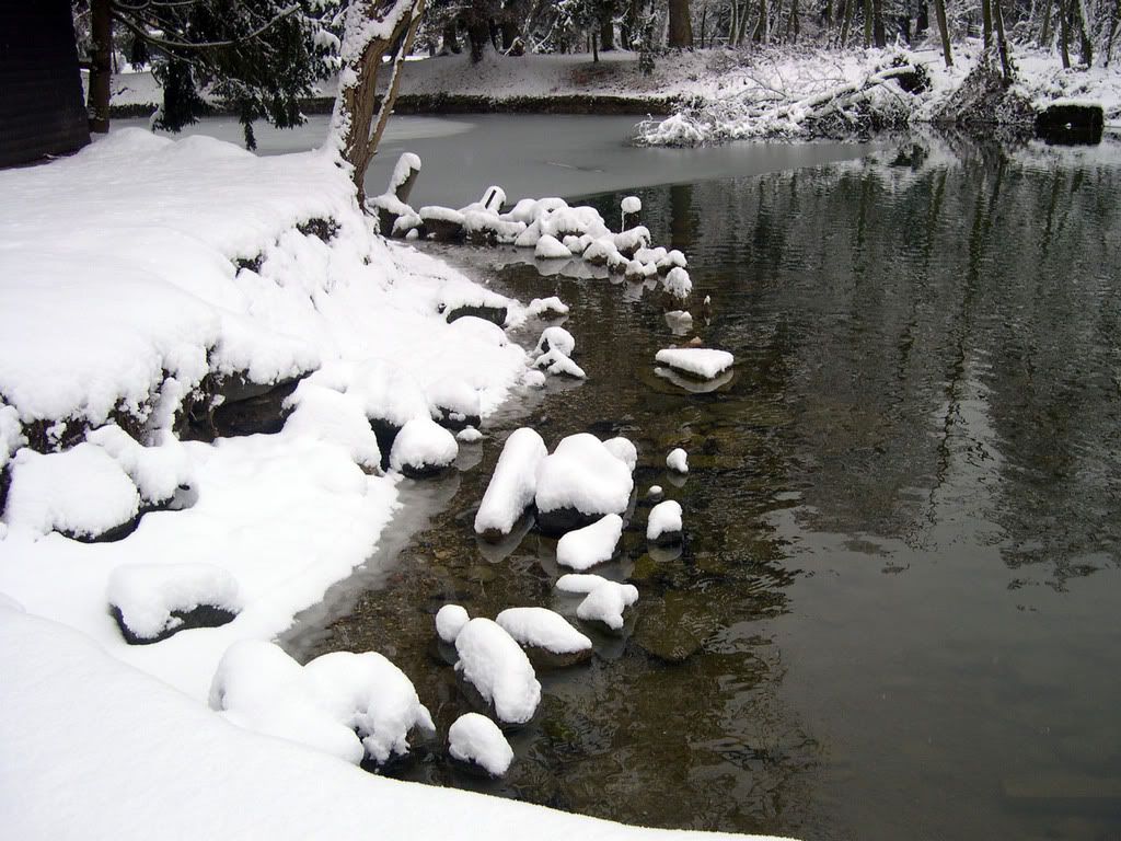 DSCN0055.jpg
