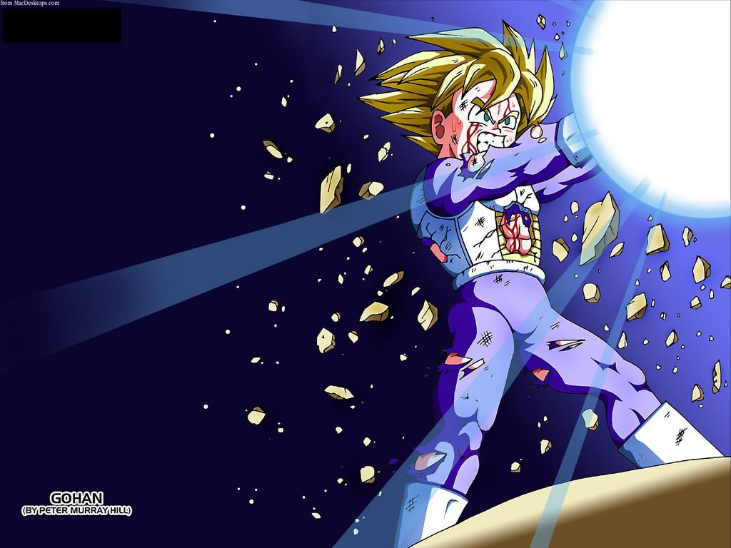 PMHgohan1600x1200.jpg