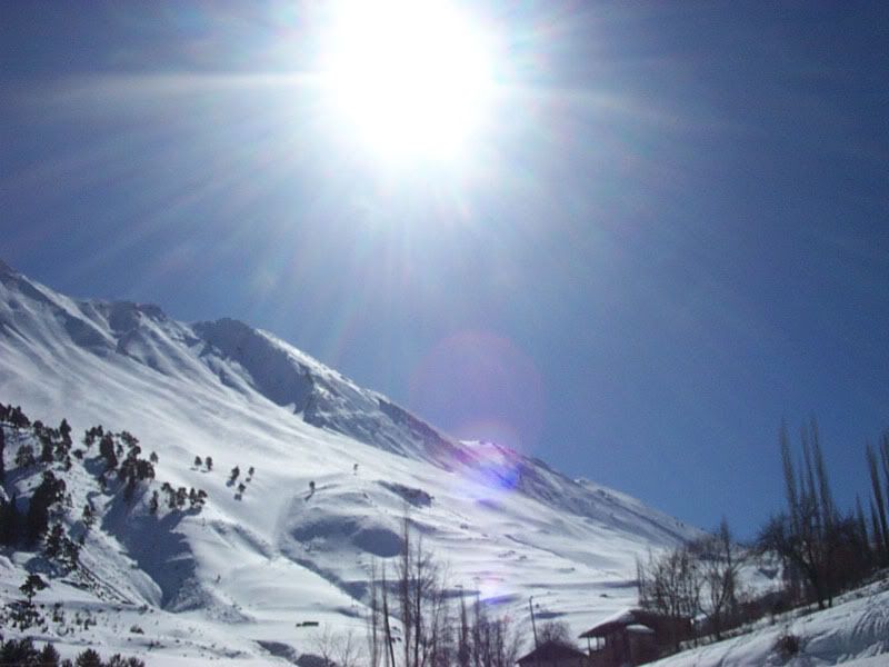 Winter-001.jpg