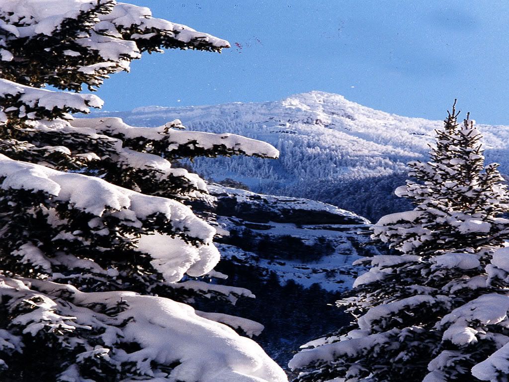 Winter-004.jpg