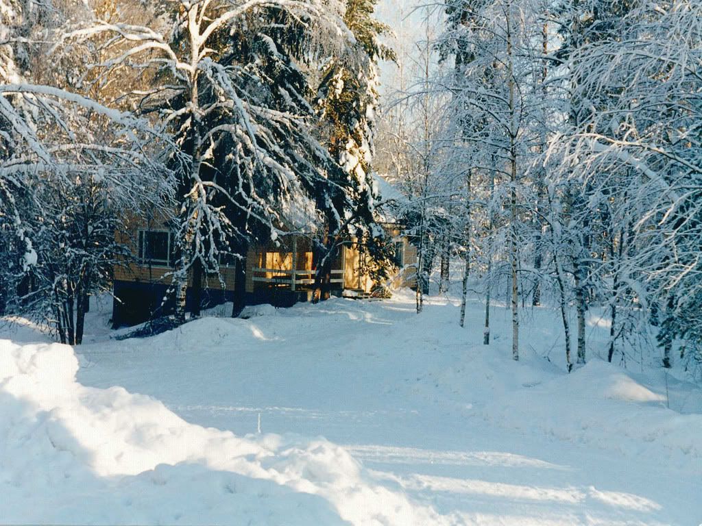 Winter-010.jpg