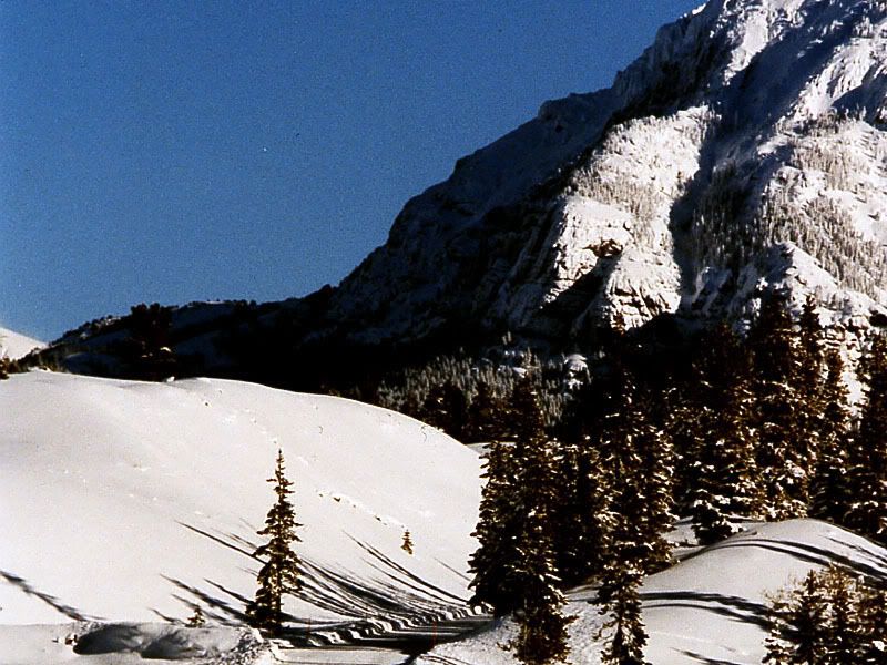 Winter-011.jpg