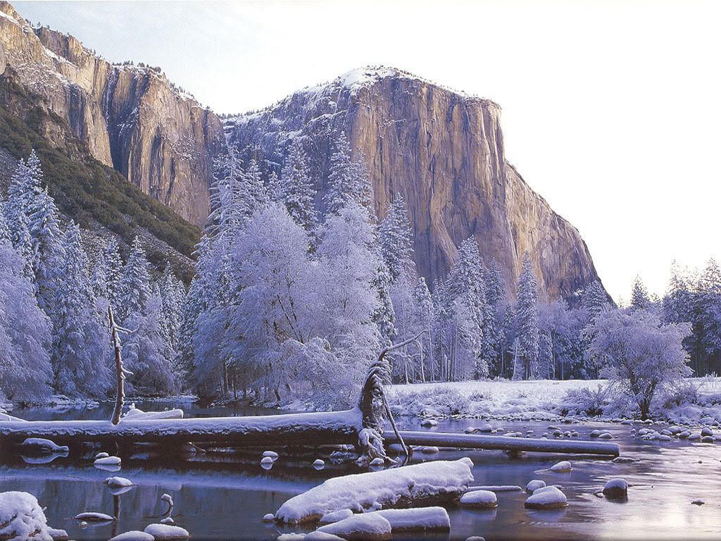 Winter-012.jpg