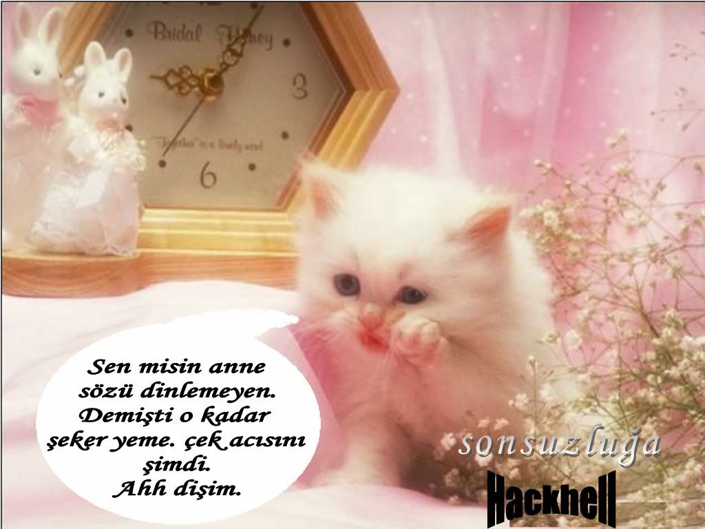 adsz10-1.jpg
