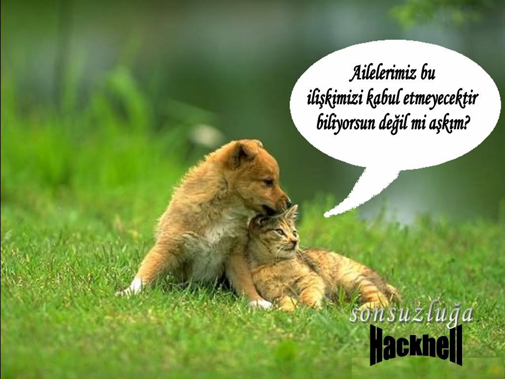adsz12-2.jpg