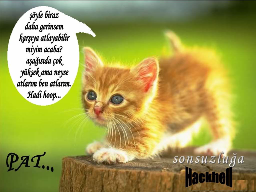 adsz22.jpg
