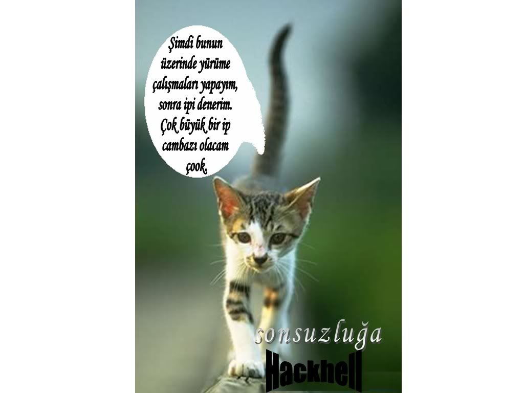 adsz24.jpg