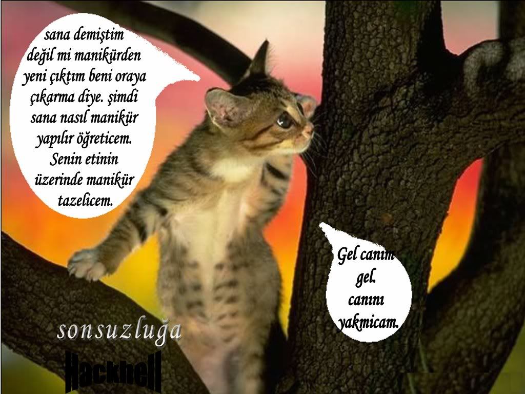 adsz26.jpg