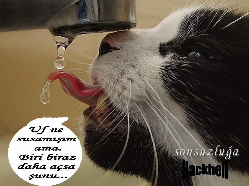 adsz27.jpg