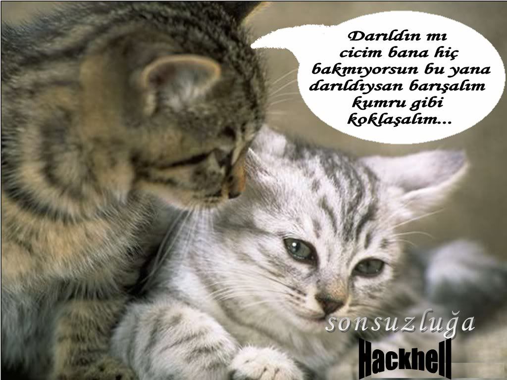 adsz8-1.jpg