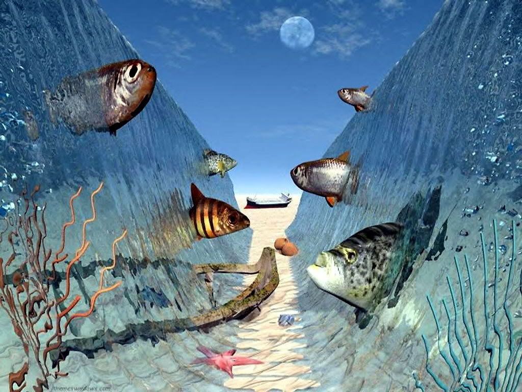 art_fantasy-031.jpg